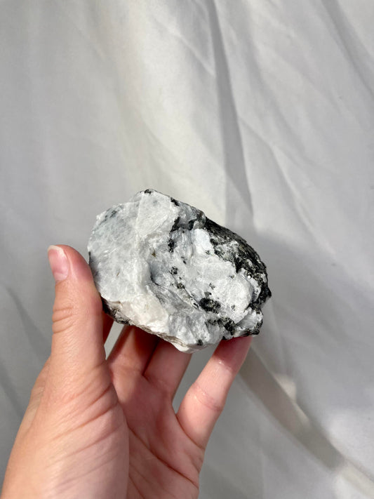 Ying Yang Yoni Shaped Moonstone